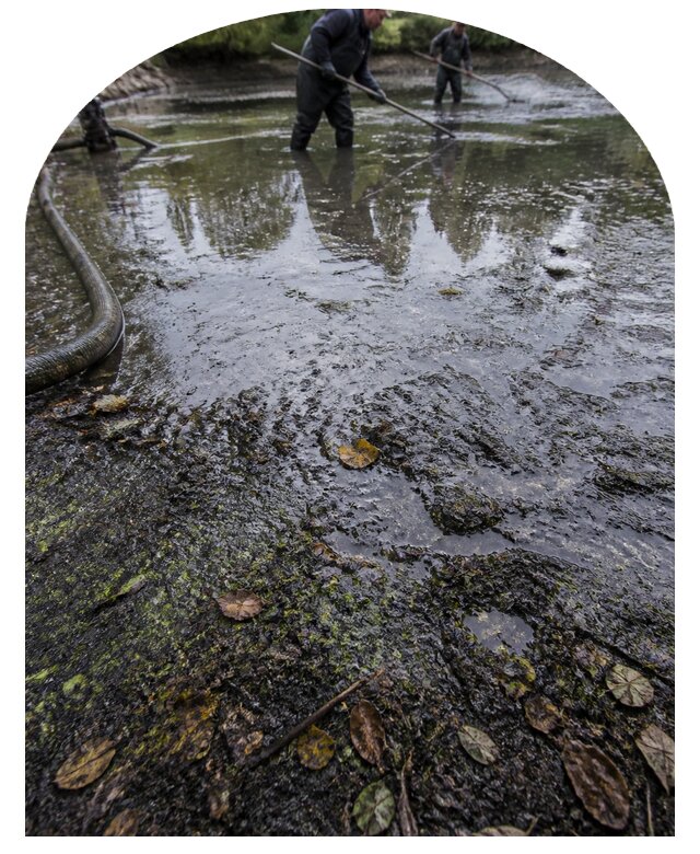 Очистка пруда в Рязани от ила мусора и водорослей с вывозом